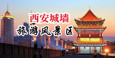骚B,狠卄爽痛哭中国陕西-西安城墙旅游风景区