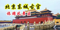 护士颜射中国北京-东城古宫旅游风景区